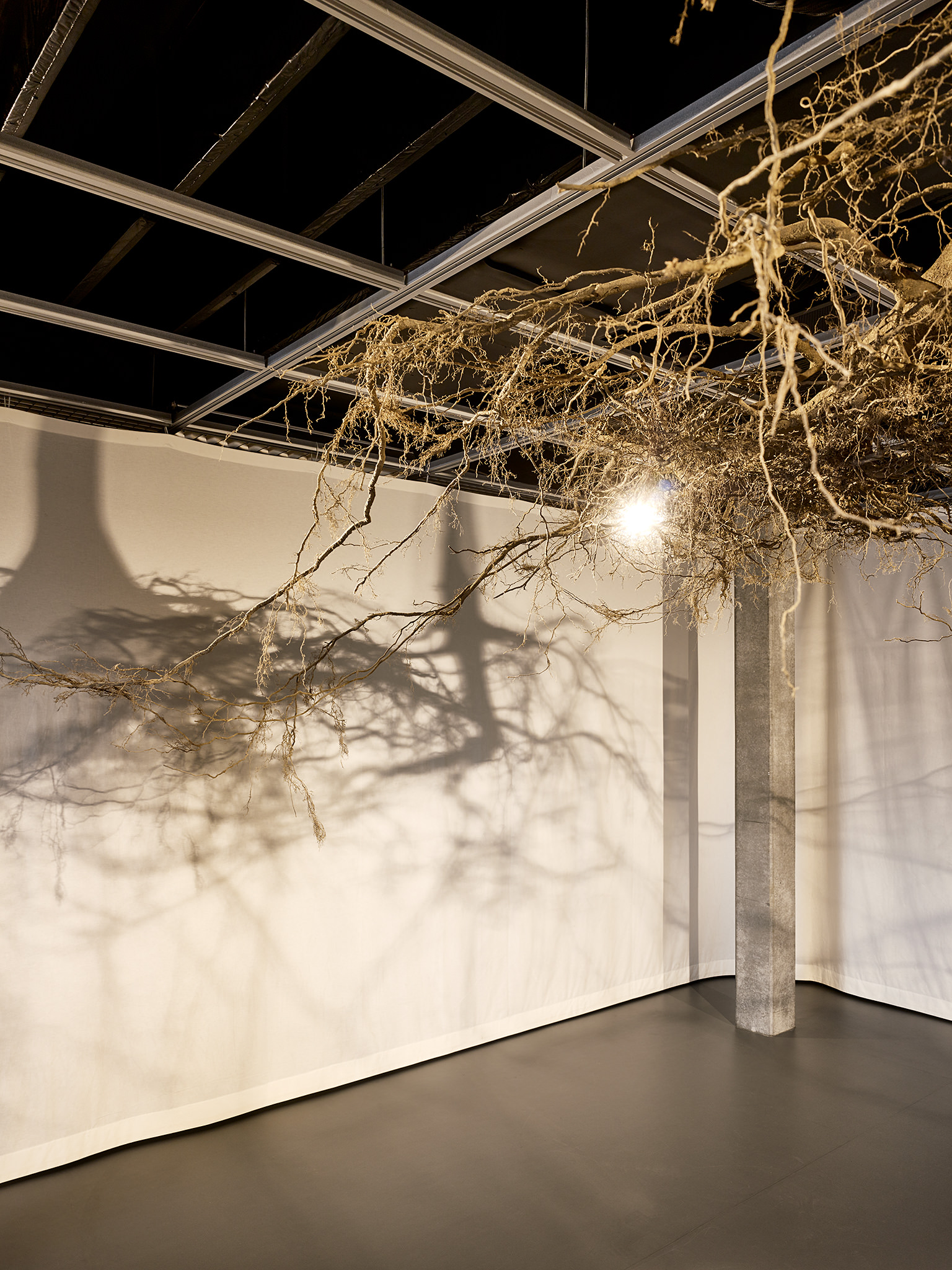 LIVE MATTER - Design Vegetal